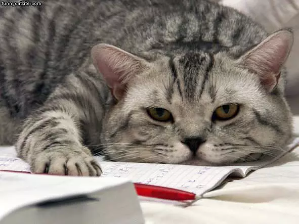 Homework Is Finished