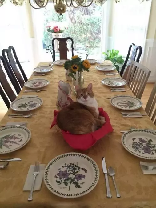 Ready For Dinner