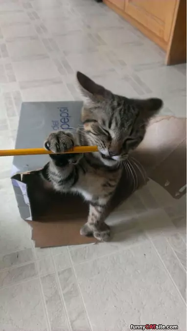 Sharpener