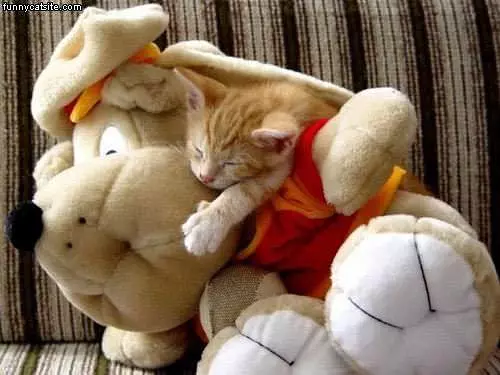 His Best Friend