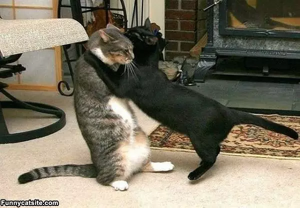 Tackle