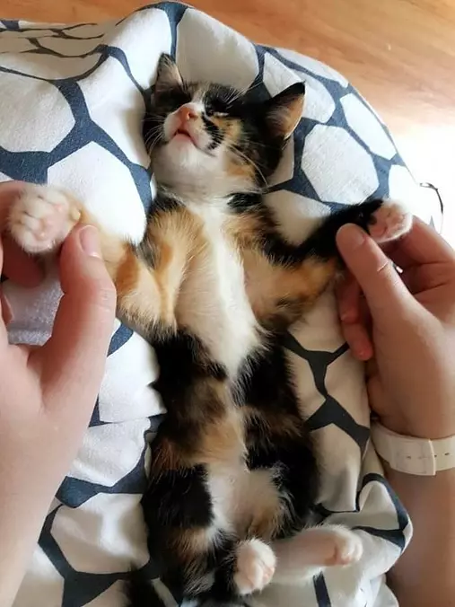Hey Let Me Relax