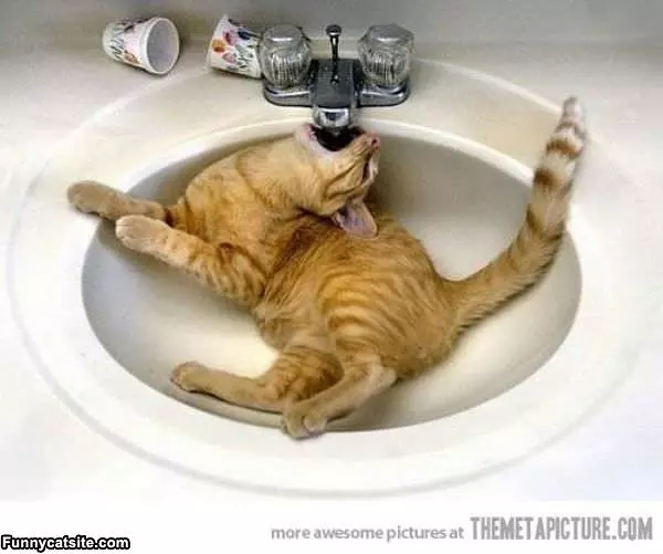 So Thirsty