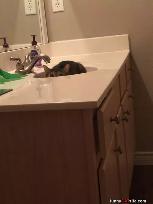 Hiding Below The Sink Line