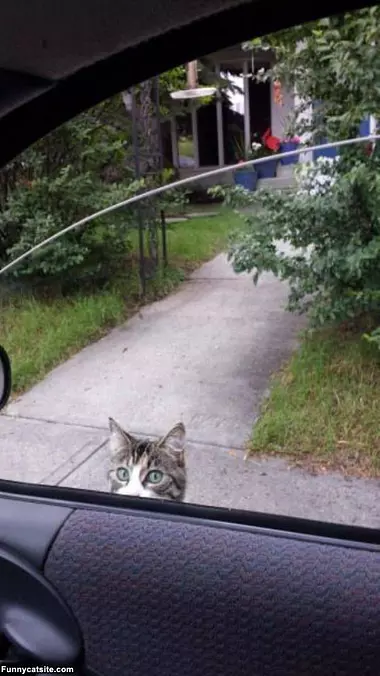 Can I Have A Ride