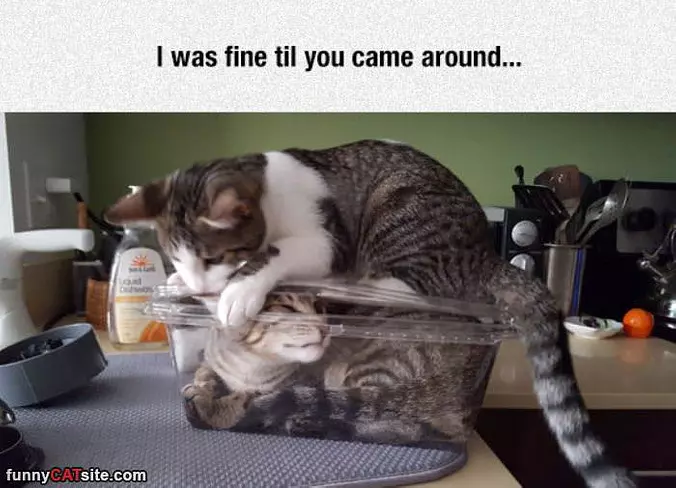 I Was Fine
