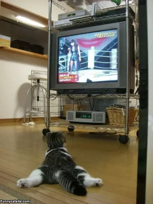Watching Some Tv