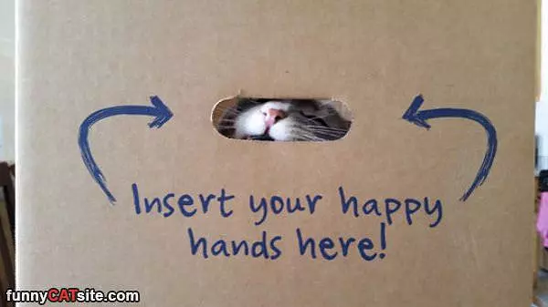 Insert Happy Hands