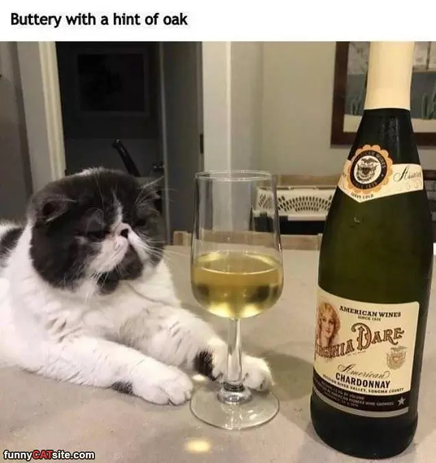 Wine Critic
