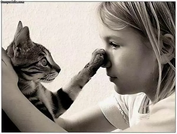 Ohh I Got Your Nose Cat