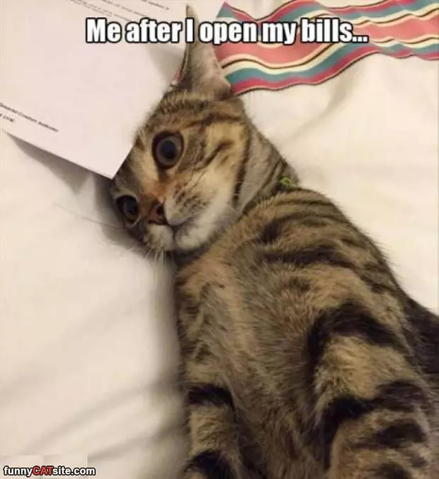 After I Open My Bills