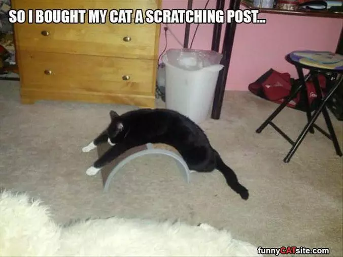 Scratching Post
