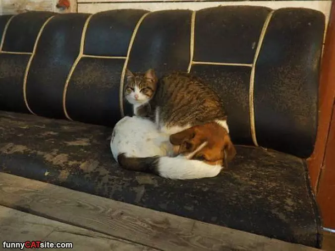 Found My Spot
