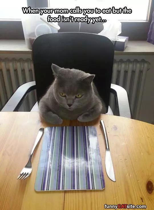 Food Isnt Ready Yet