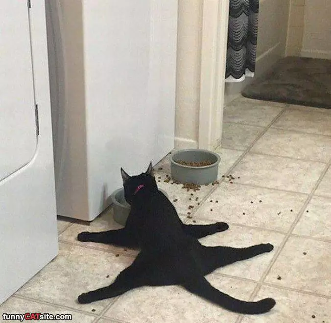 A Lazy Eater
