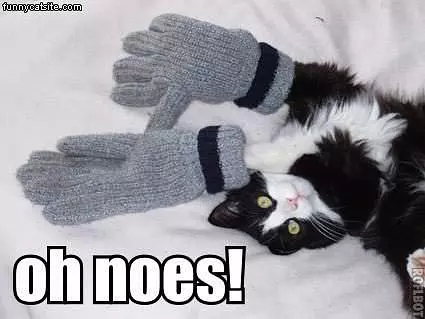 Oh Noes