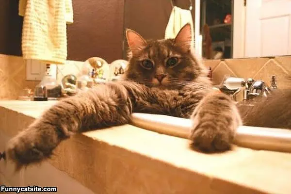 Hey Whats Up