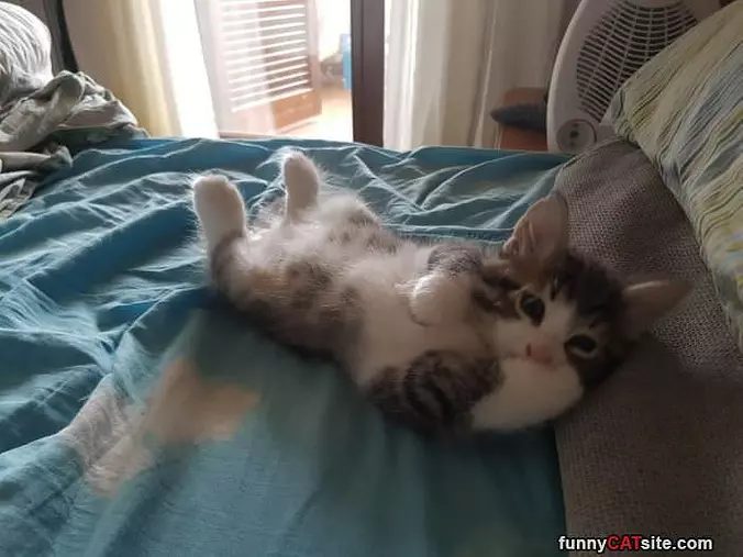 Chilling In My Bed