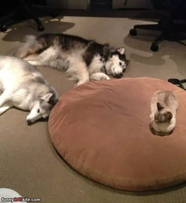 This Is Mine Now