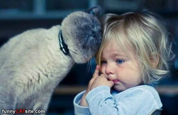 Give Me A Hug Human