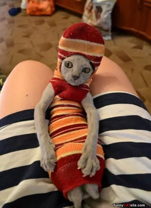 I Am Warm Now