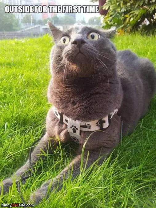 Outside For The First Time