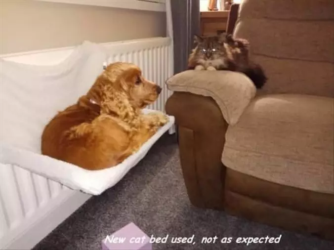 Not Used As Expected