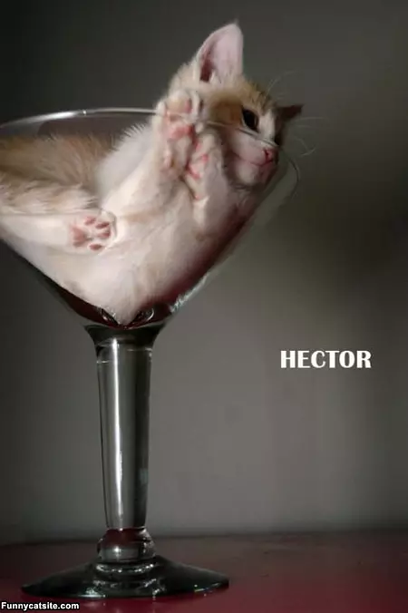 Hector