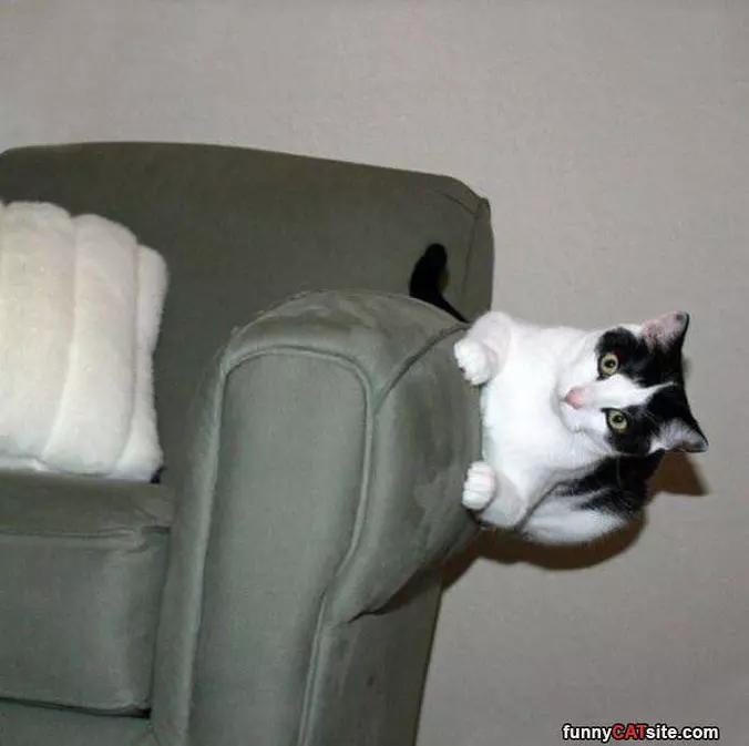 I Sit How I Want