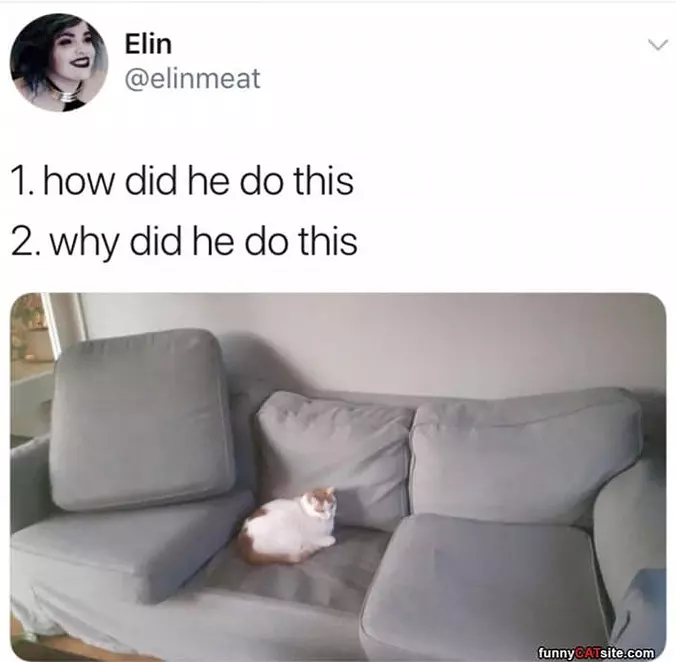 How Did She Do This