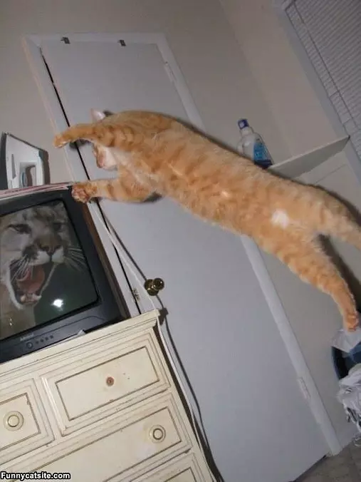 Flying Attack
