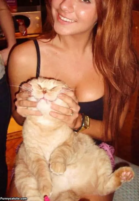 Smile Kitty