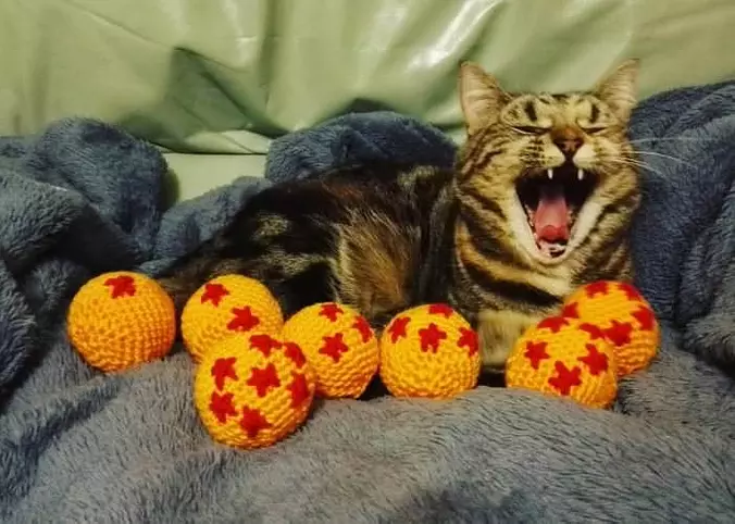 Huge Yawnnnnnn