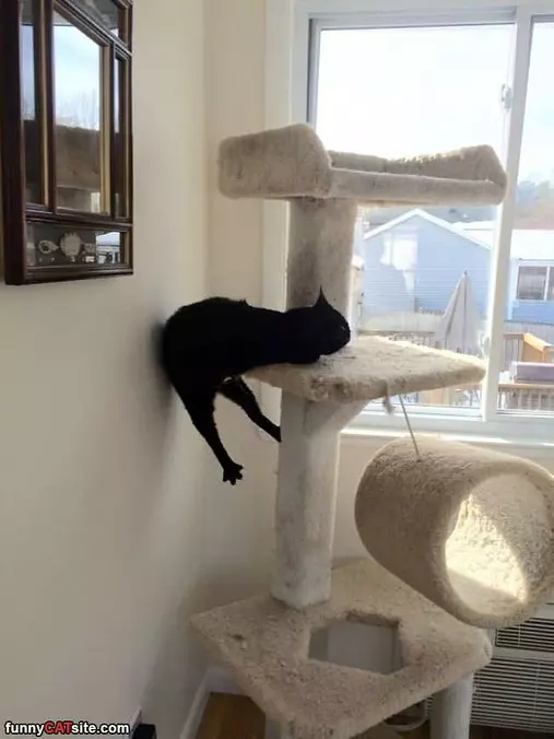 I Sleep How I Want