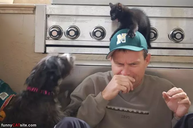 Get Away From Me Dog