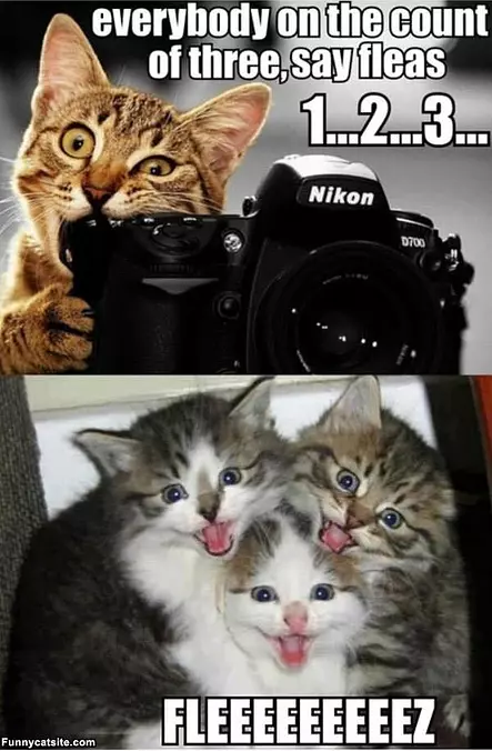 Everyone Smile