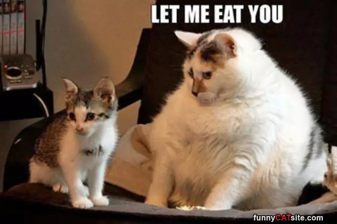 Let Me Eat You