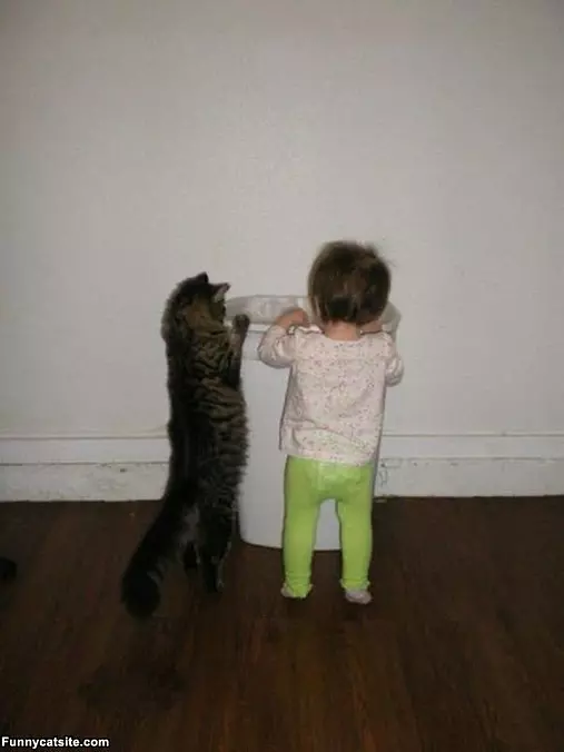 Whatcha Got In Here