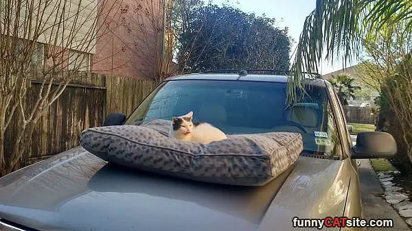Got My Nice Bed
