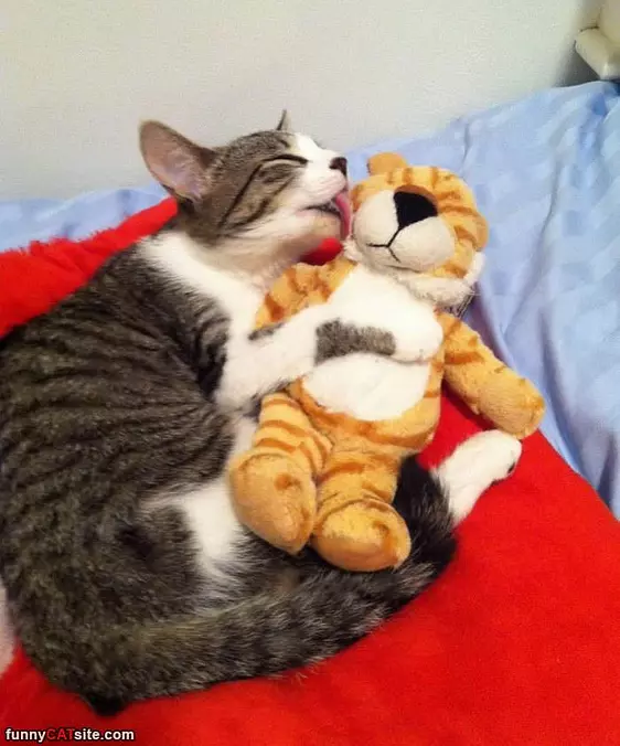 Giving A Little Kiss