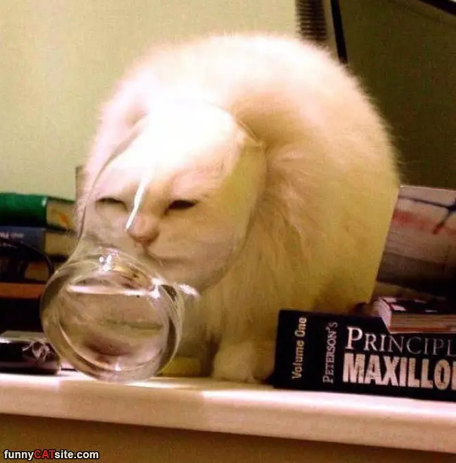 I Want This Water