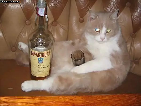 Drink Up