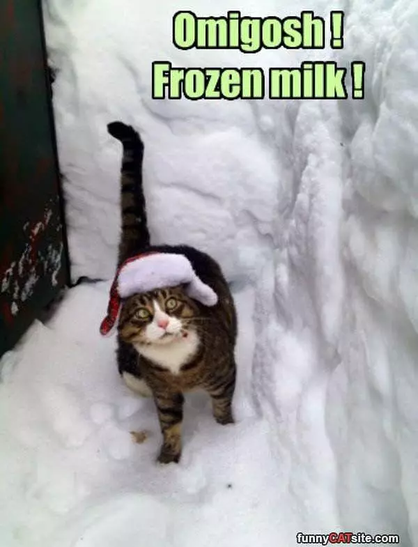 Frozen Milk