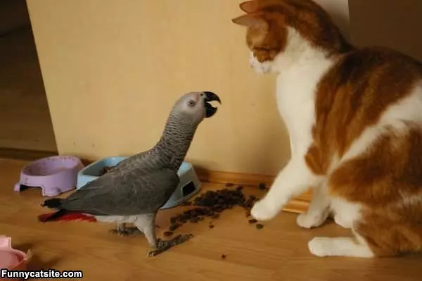 Whos The Boss Now