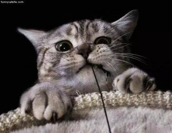 Mah String