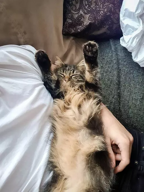 Both Hands Up
