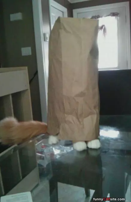Cant Find Me