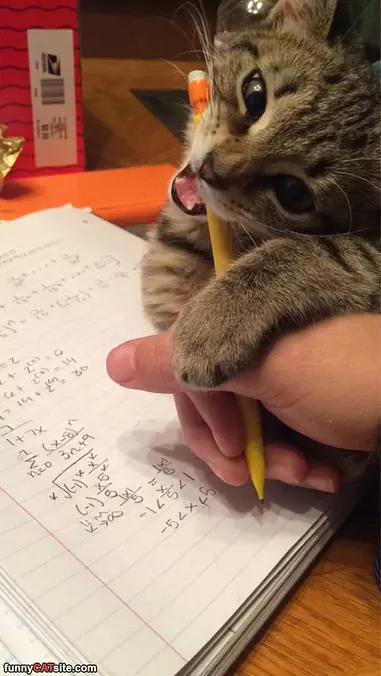 Doing Some Homework