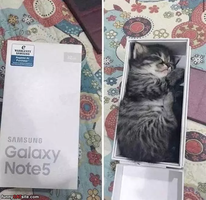Note 5