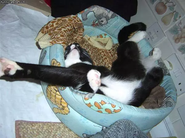 Dont Wake Me